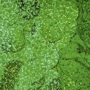 Folienkonfetti holographic green rund 20 mm