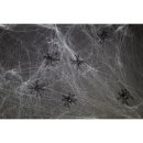 Spinnennetz mit 6 Spinnen ca. 100gr