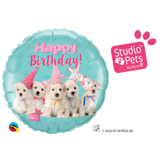 Folienballon Studio Pets - Puppies Happy Birthday